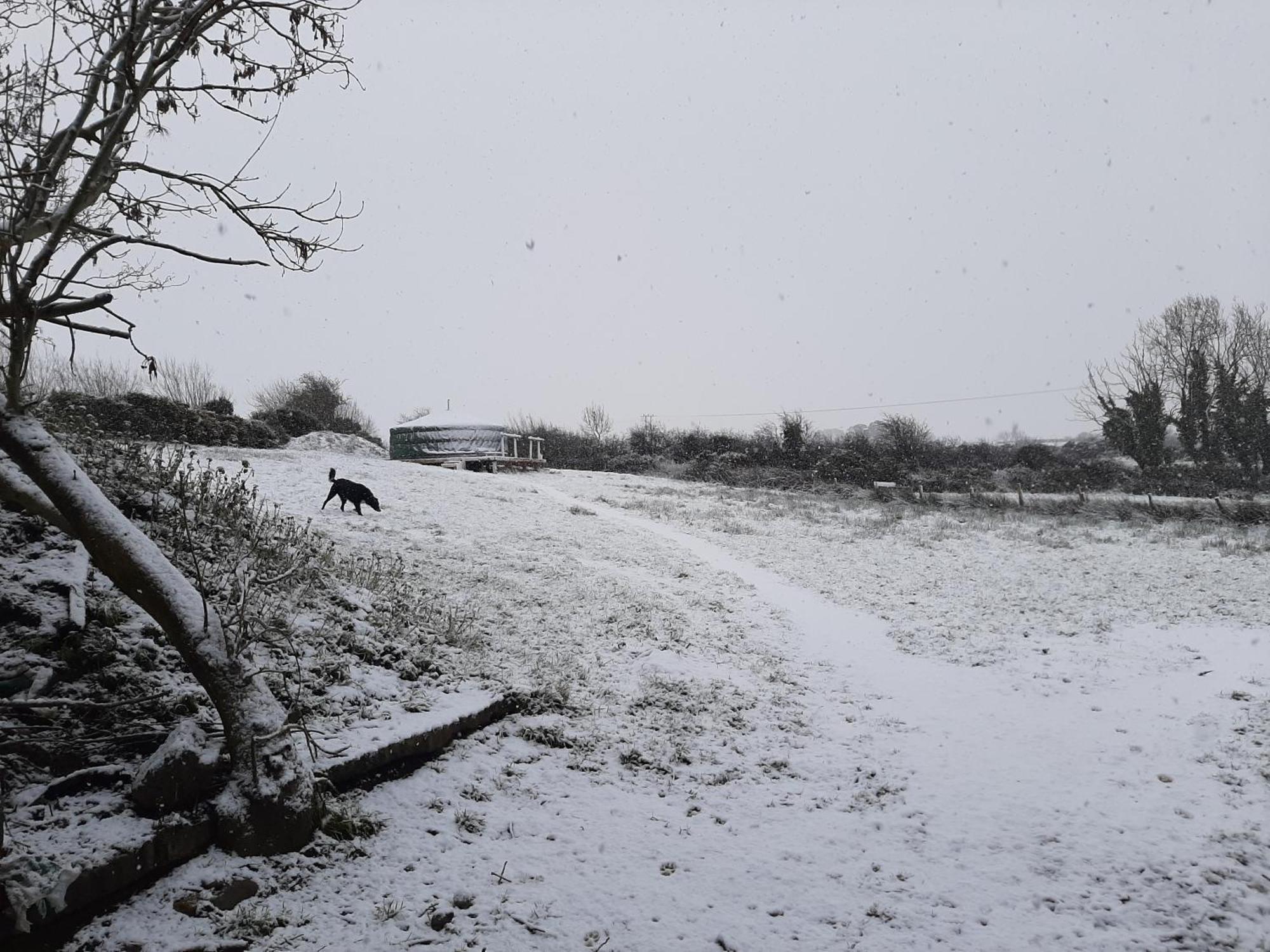 Kerrib Farm Luxuszelt