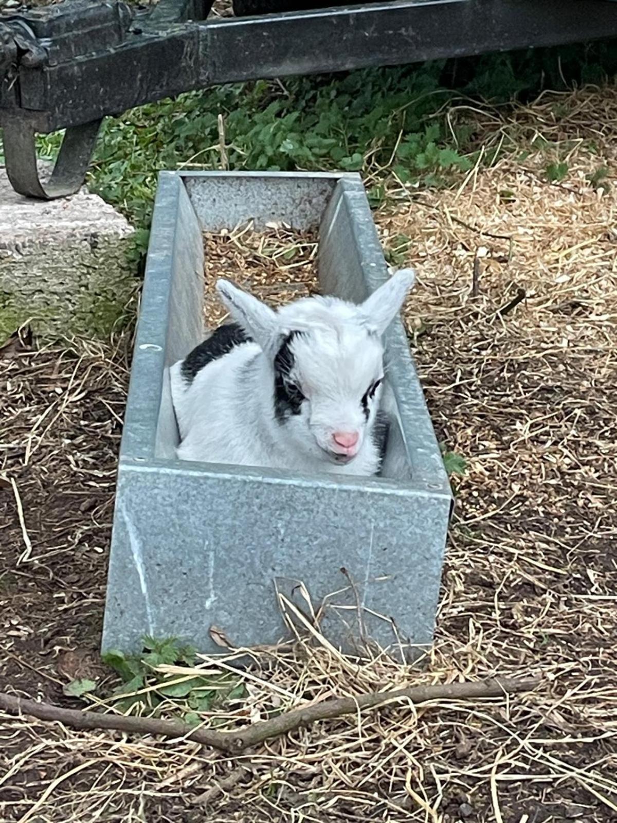 Luxuszelt Kerrib Farm *